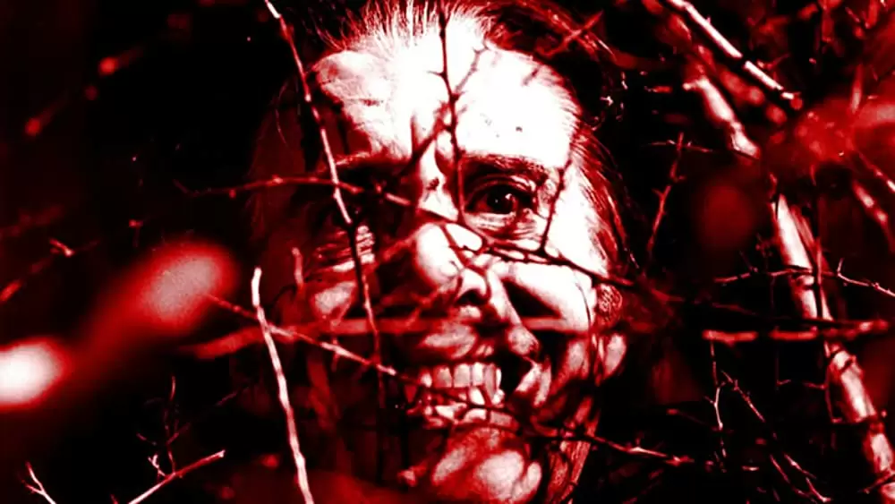 「新ドラキュラ／悪魔の儀式」クリストファー・リーの画像