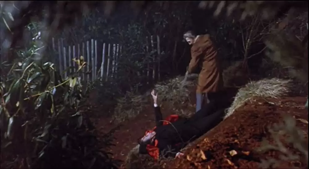 「新ドラキュラ／悪魔の儀式」クリストファー・リー & ピーター・カッシングの画像