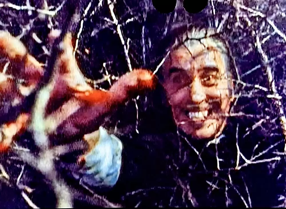 「新ドラキュラ／悪魔の儀式」クリストファー・リーの画像