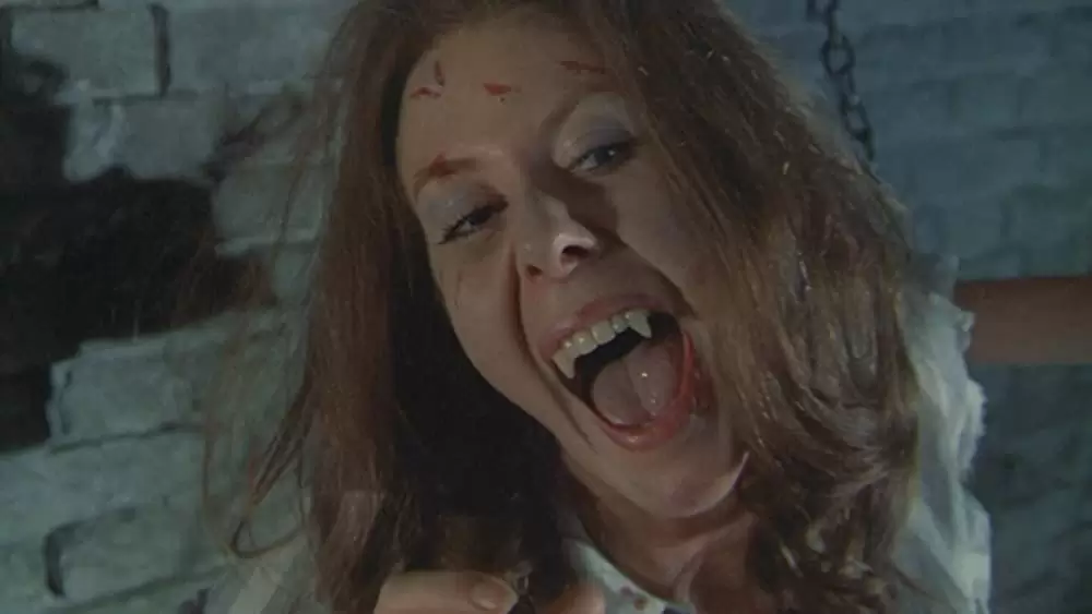 新ドラキュラ／悪魔の儀式の画像