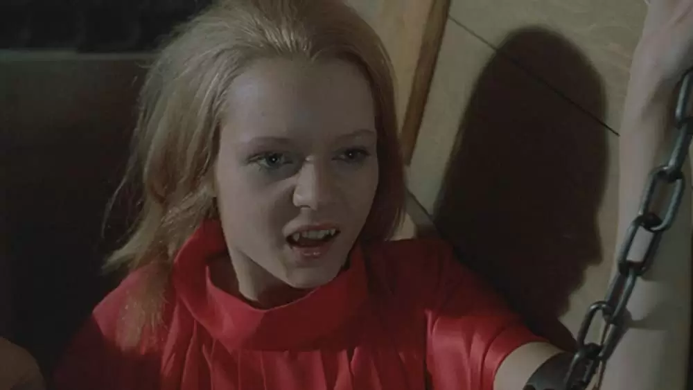 新ドラキュラ／悪魔の儀式の画像