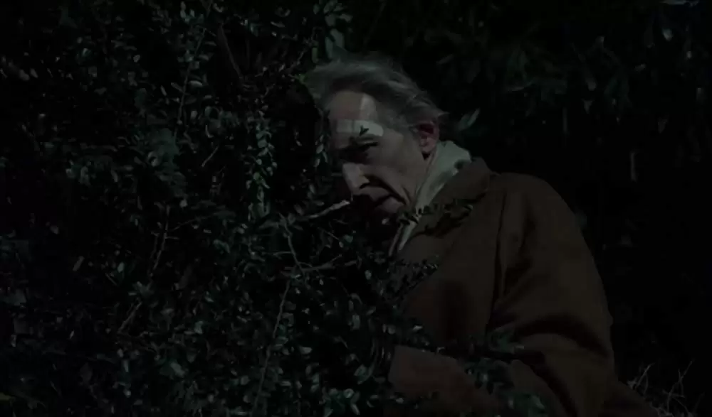 新ドラキュラ／悪魔の儀式の画像