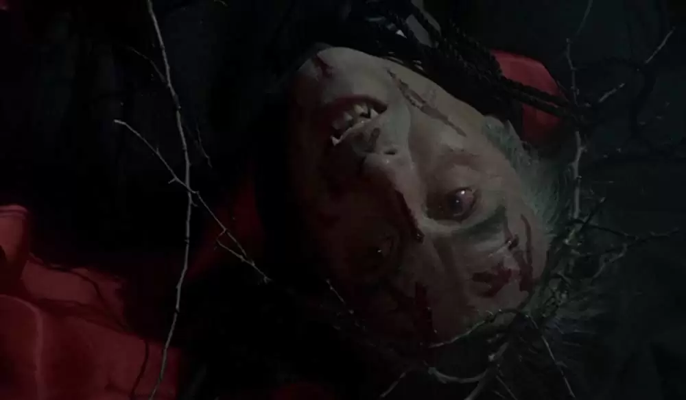 新ドラキュラ／悪魔の儀式の画像