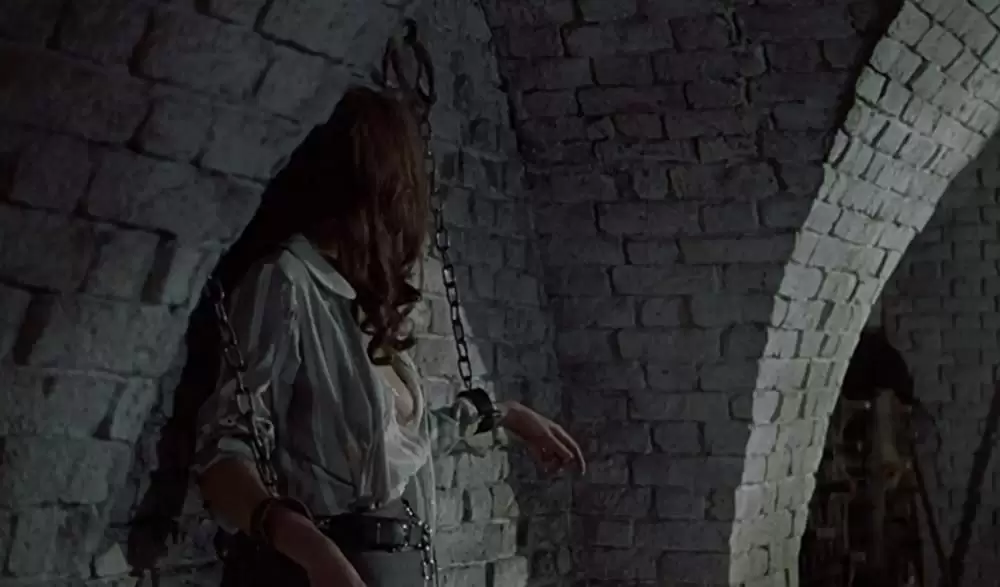 新ドラキュラ／悪魔の儀式の画像