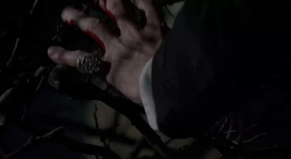 新ドラキュラ／悪魔の儀式の画像