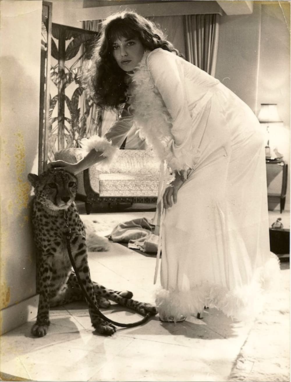 おかしなおかしな高校教師の画像