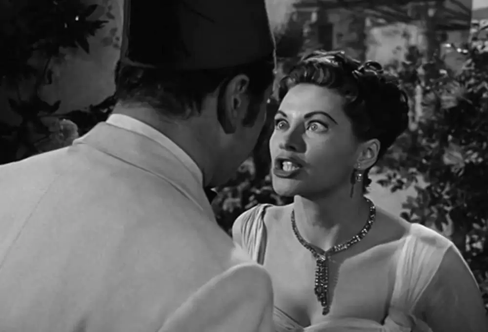 極楽ホテルの画像