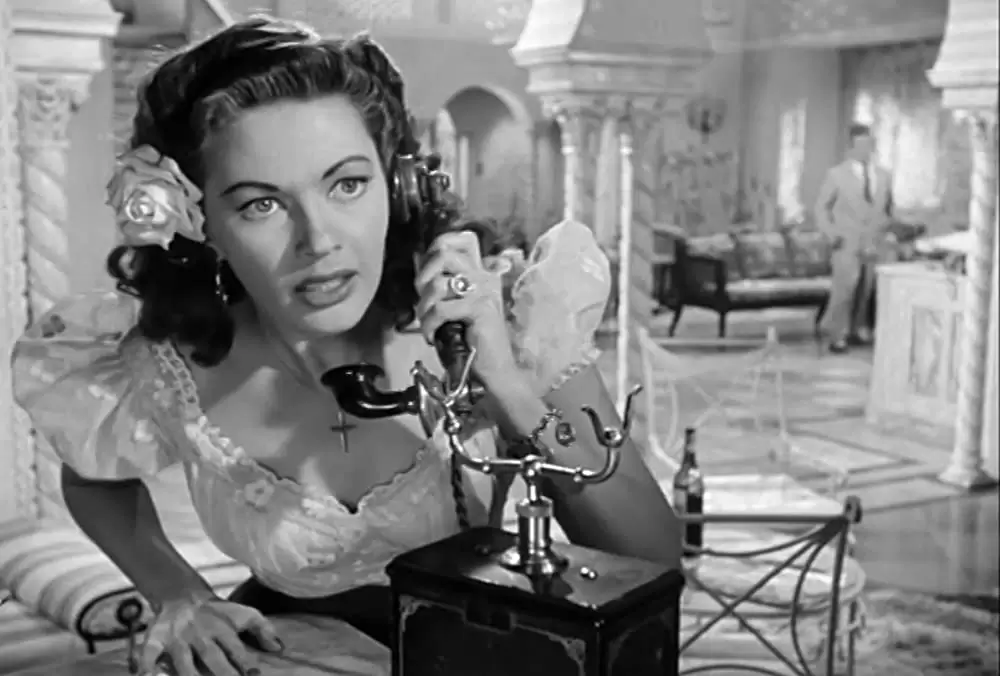 極楽ホテルの画像