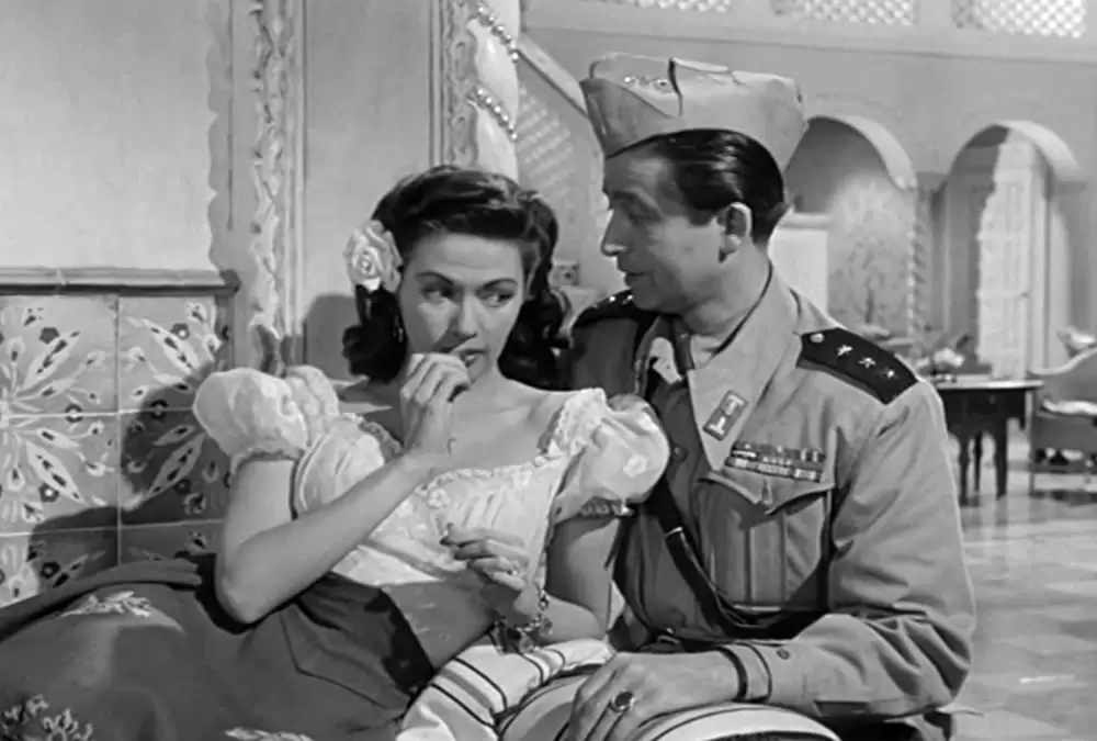 極楽ホテルの画像