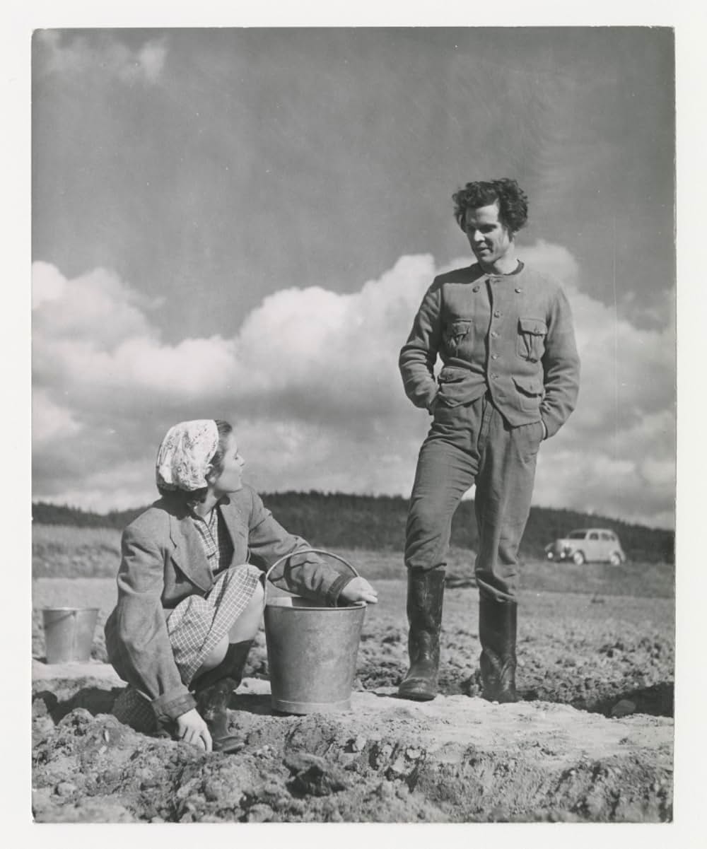 春の悶えの画像