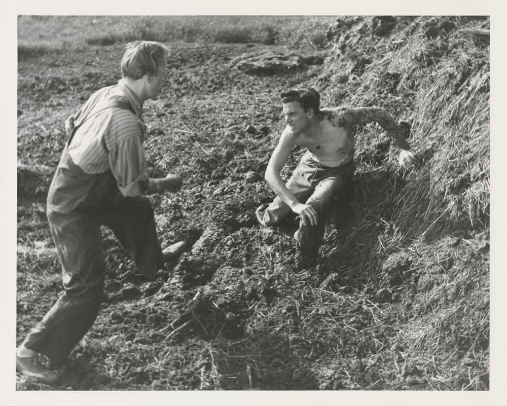 春の悶えの画像