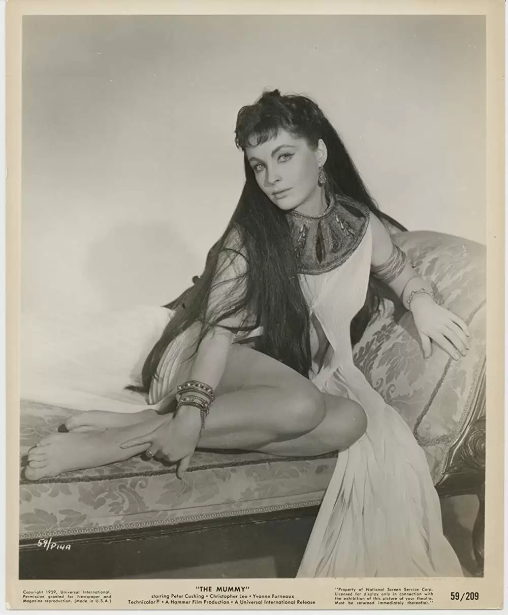 ミイラの幽霊の画像