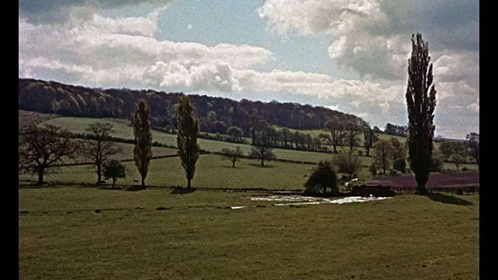 ミイラの幽霊の画像