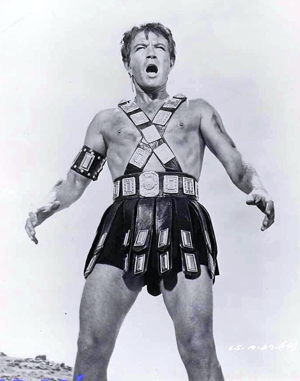 サランボーの画像