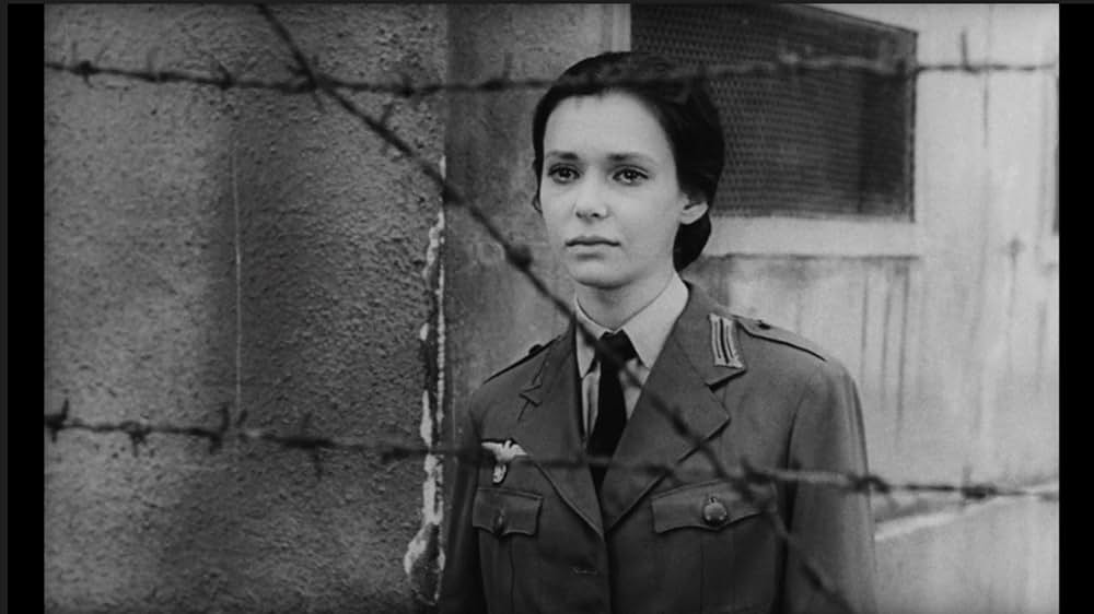 ゼロ地帯の画像