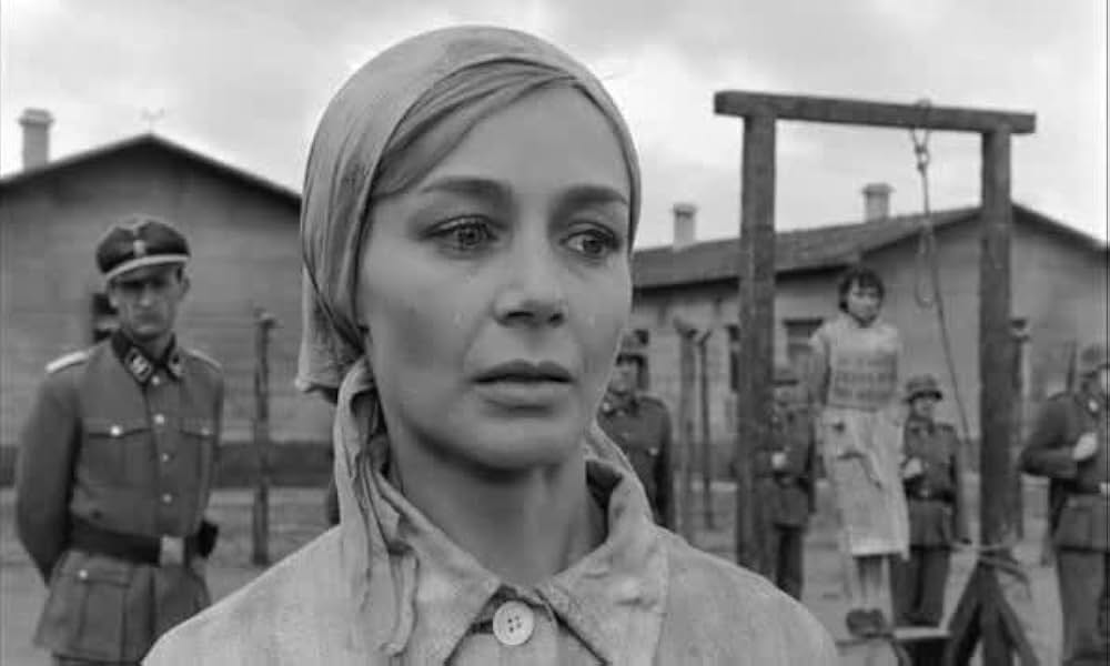 ゼロ地帯の画像