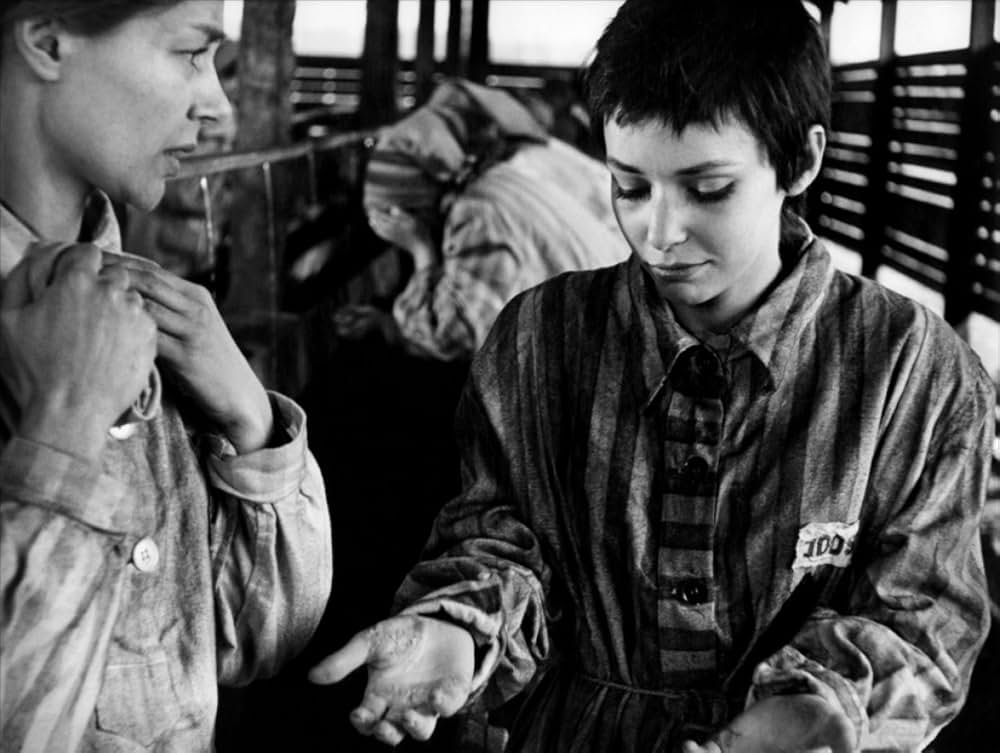 ゼロ地帯の画像