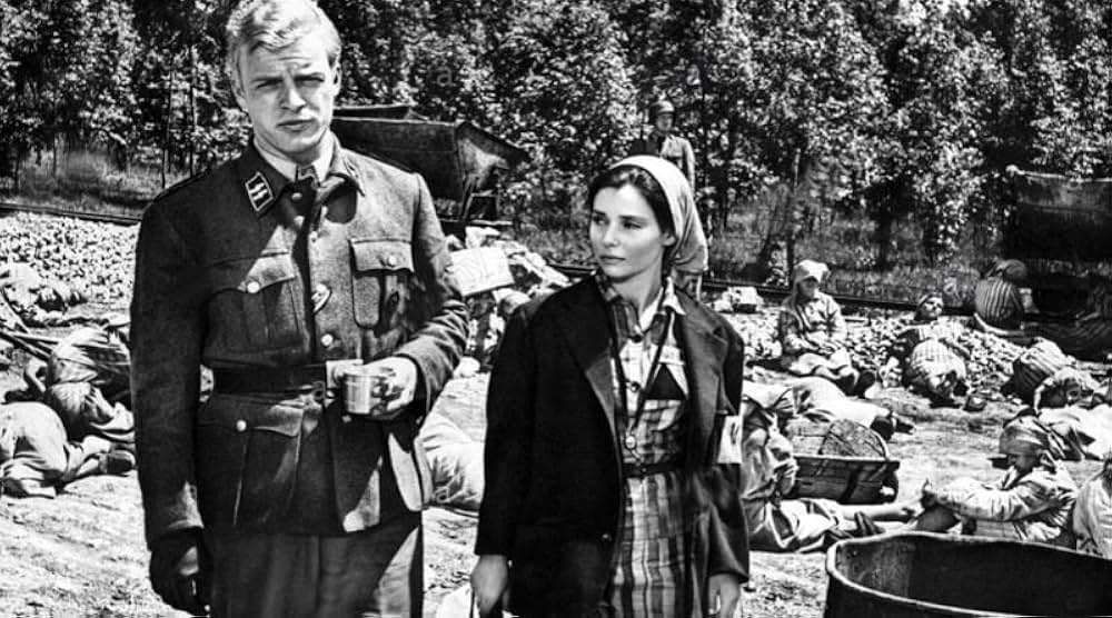 ゼロ地帯の画像