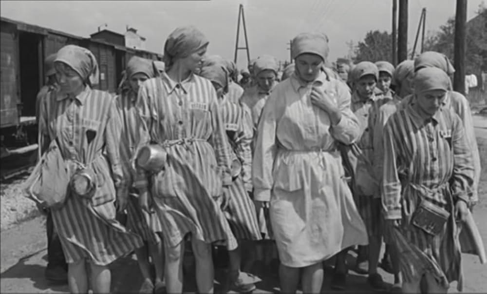 ゼロ地帯の画像