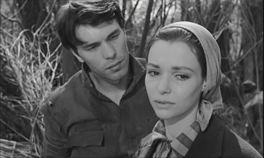 ゼロ地帯の画像