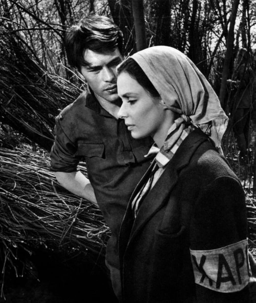 ゼロ地帯の画像