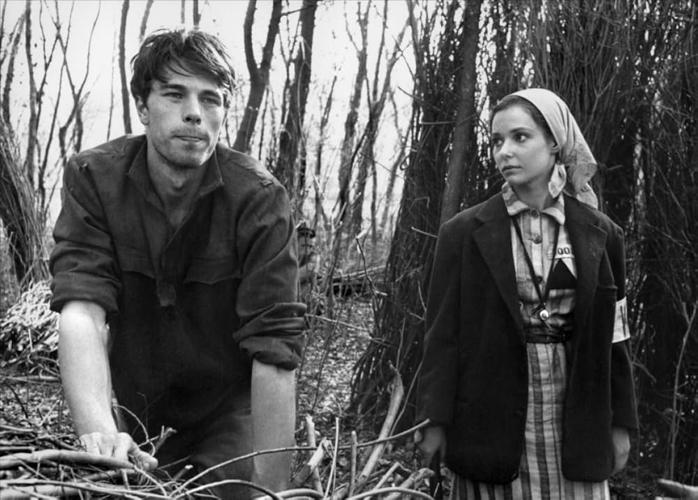 ゼロ地帯の画像