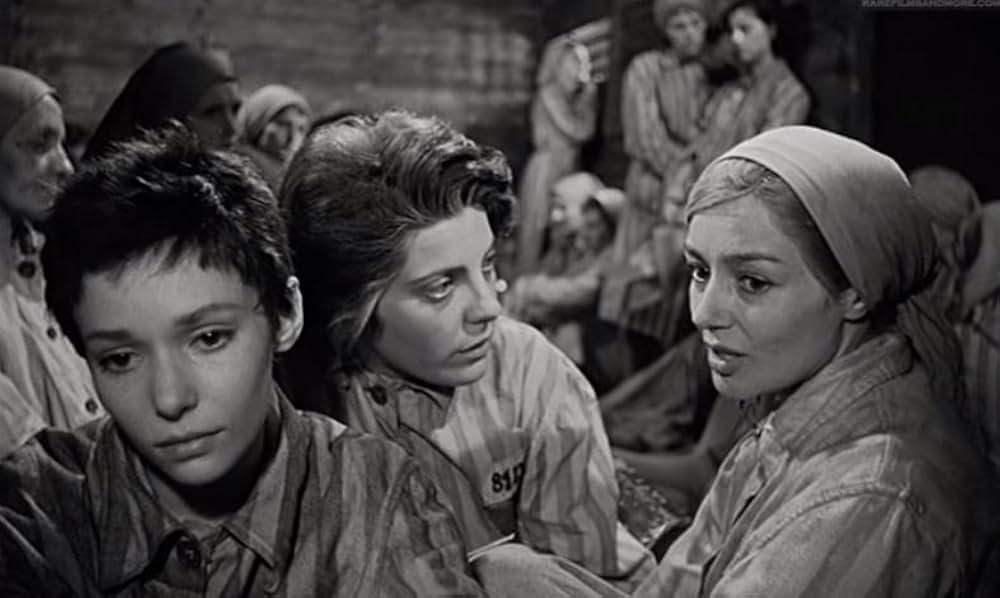 ゼロ地帯の画像