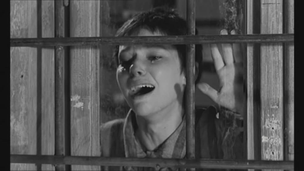 ゼロ地帯の画像