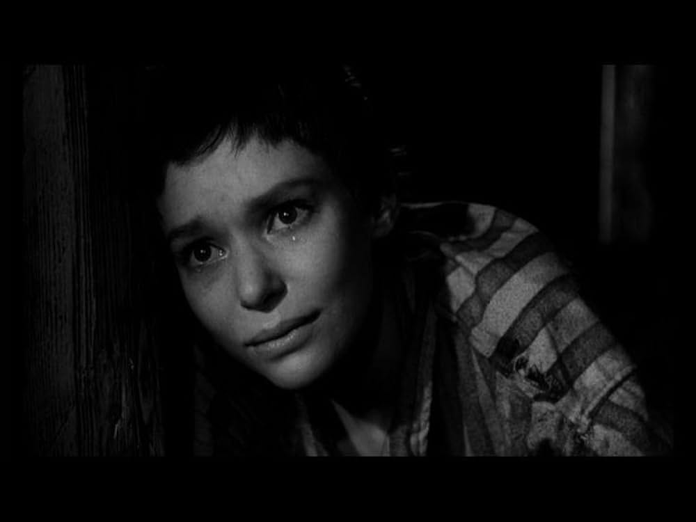 ゼロ地帯の画像