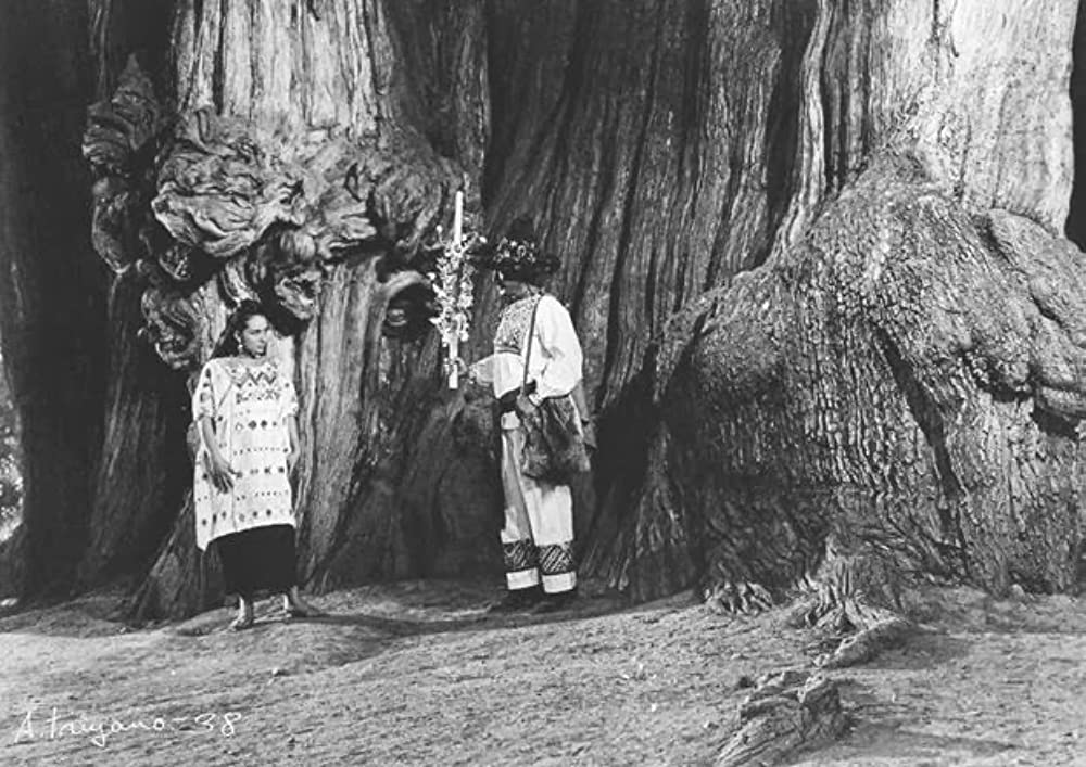 価値ある男の画像