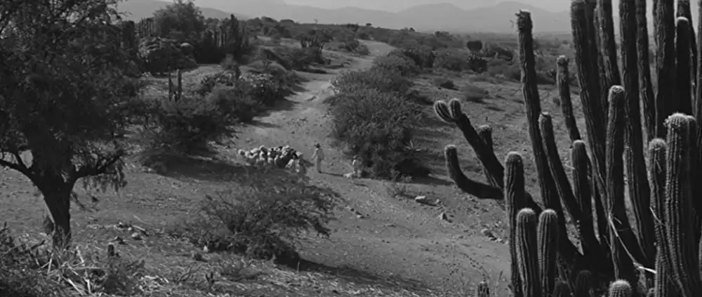 価値ある男の画像