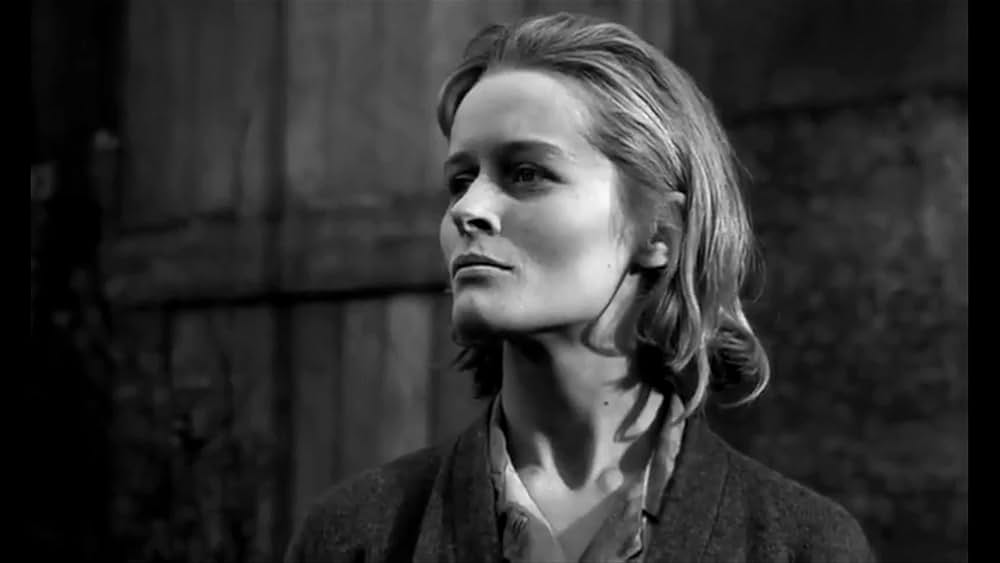 スパイ戦線の画像