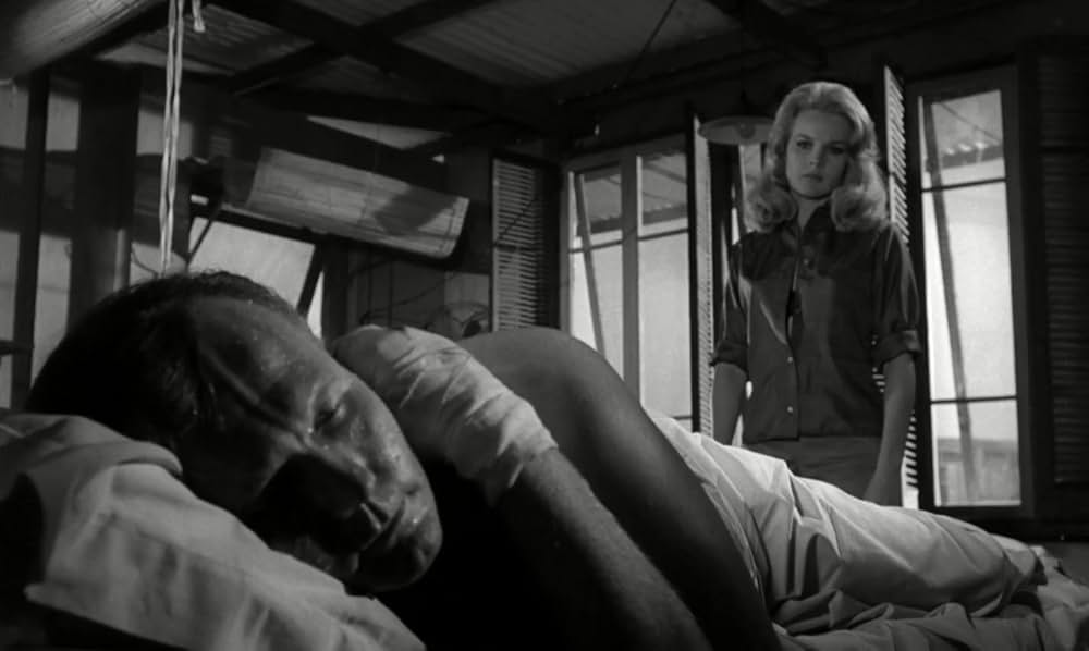 白昼の情事の画像