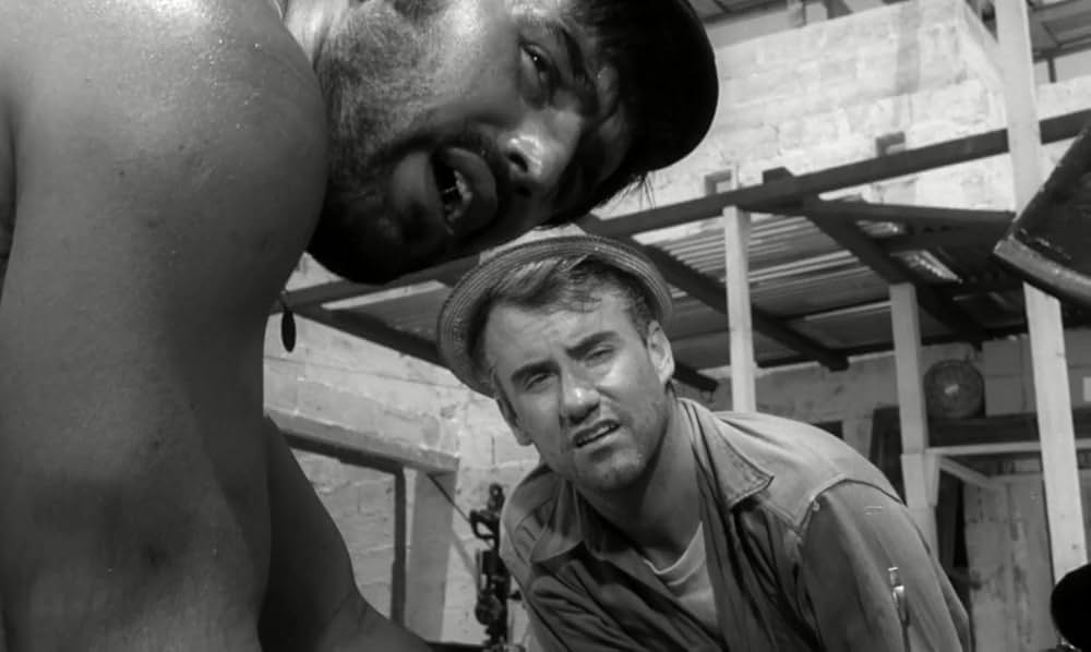 白昼の情事の画像