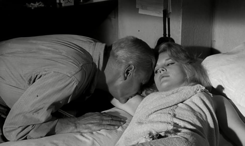 白昼の情事の画像