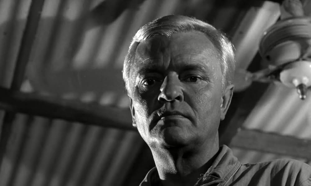 白昼の情事の画像