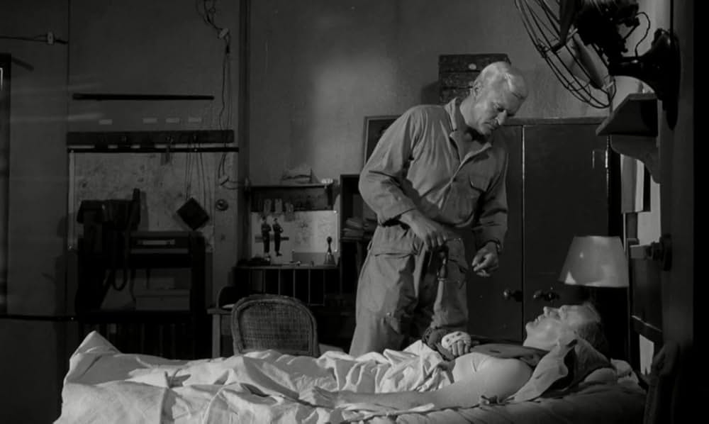 白昼の情事の画像