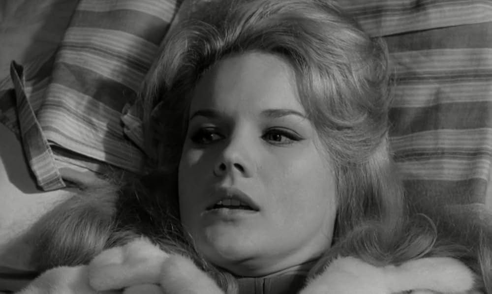 白昼の情事の画像