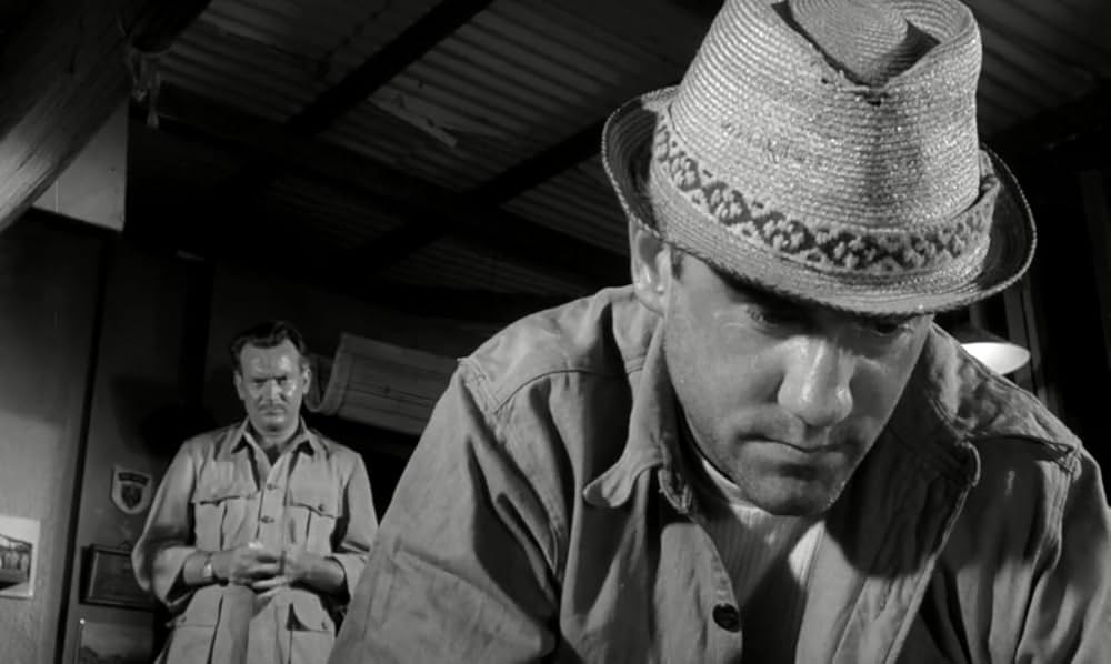 白昼の情事の画像