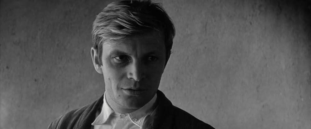 マドモアゼルの画像