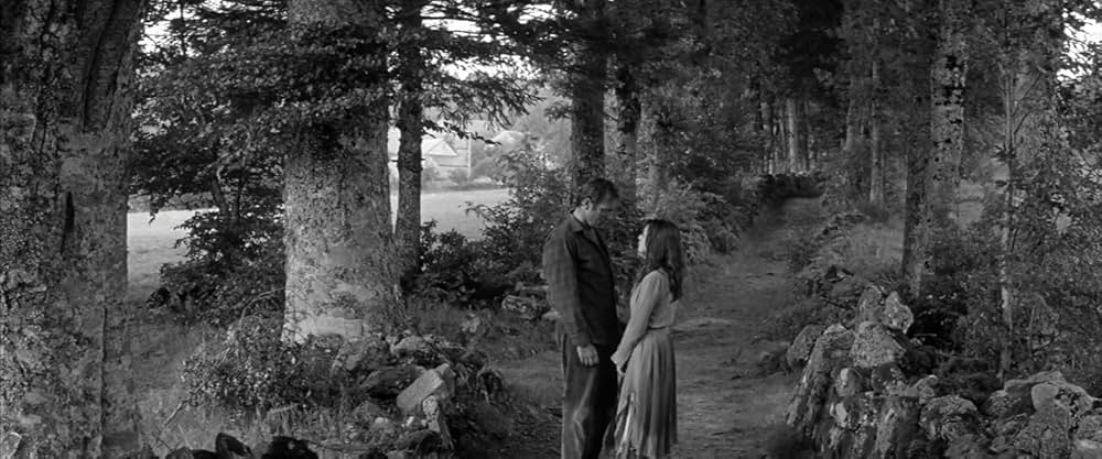 マドモアゼルの画像