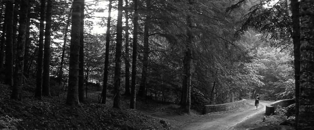 マドモアゼルの画像