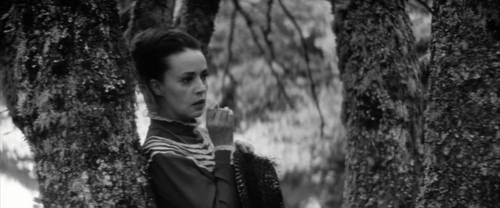 マドモアゼルの画像