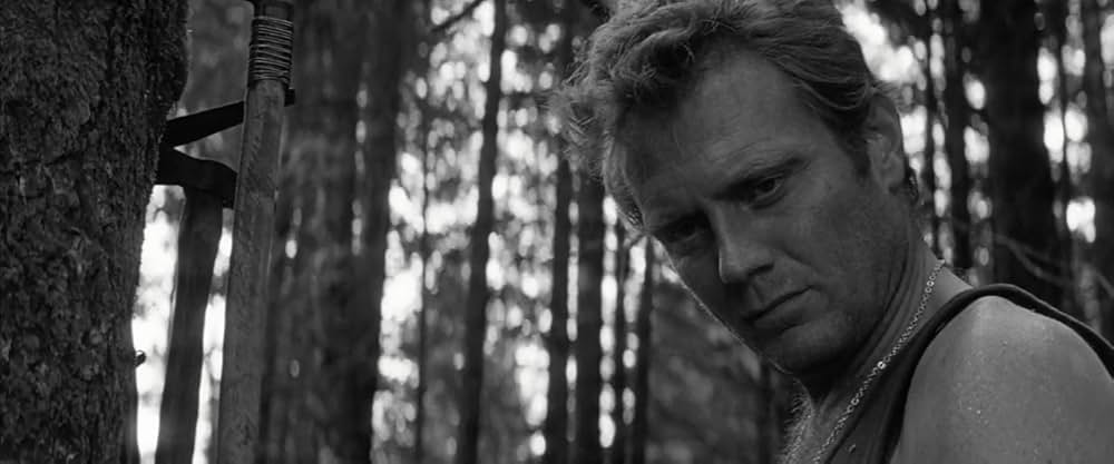 マドモアゼルの画像