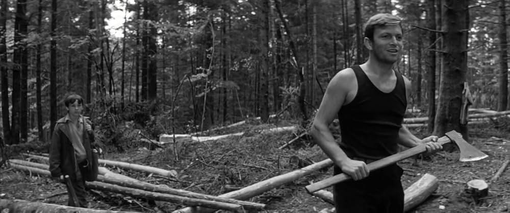 マドモアゼルの画像