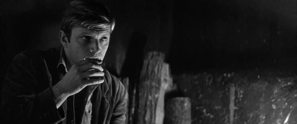 マドモアゼルの画像