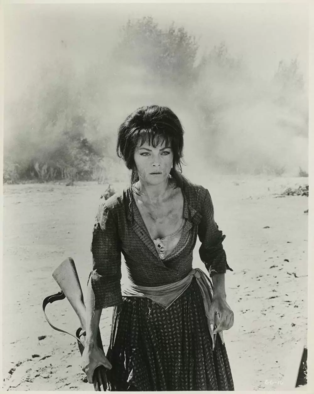 女と将軍の画像