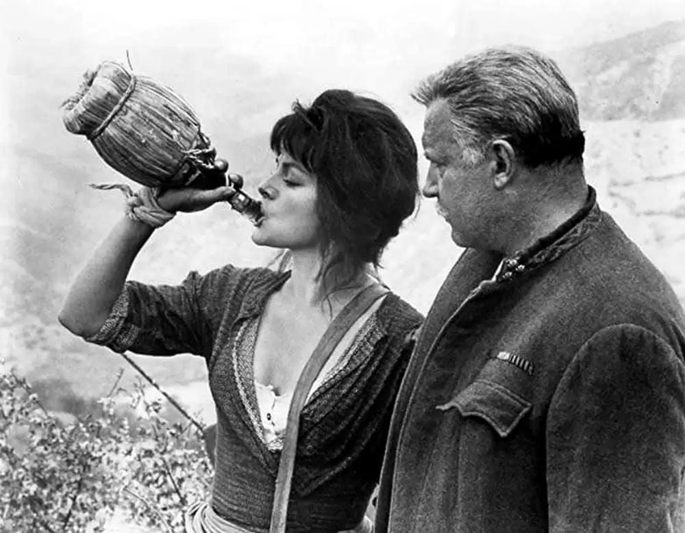 女と将軍の画像