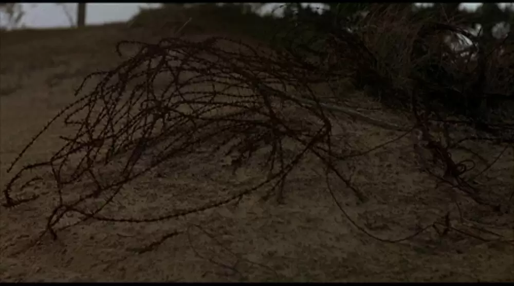 私は誘拐されたいの画像