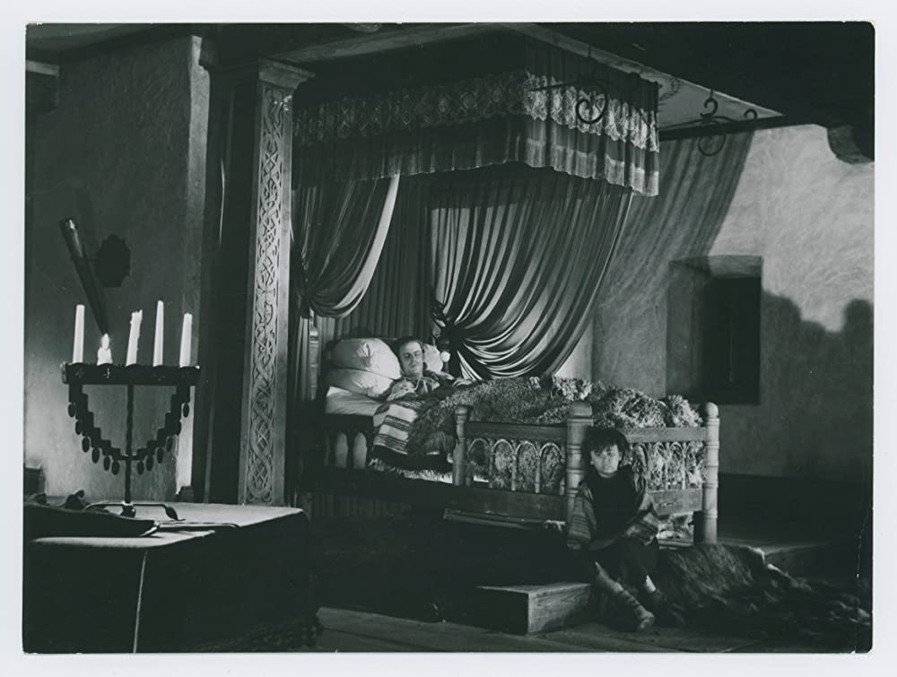 シンゴアラの画像